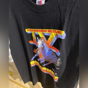 Vintage 1995 IV Horsemen WCW wresting tee!